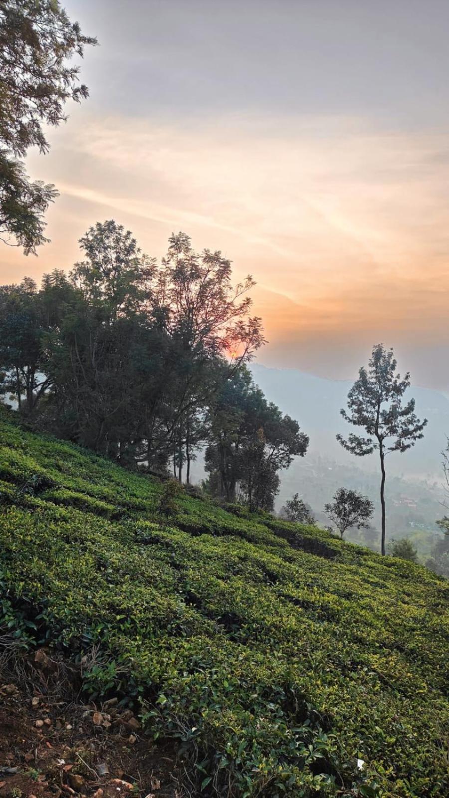 Moksha Infinity Valley Villa Kotagiri Exterior photo